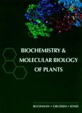 Biochemistry & Molecular Biology of Plants (     -   )